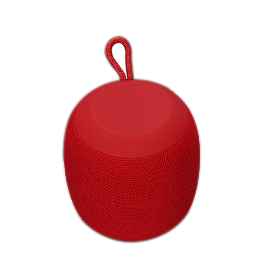 FLS-102 portable speaker.jpg